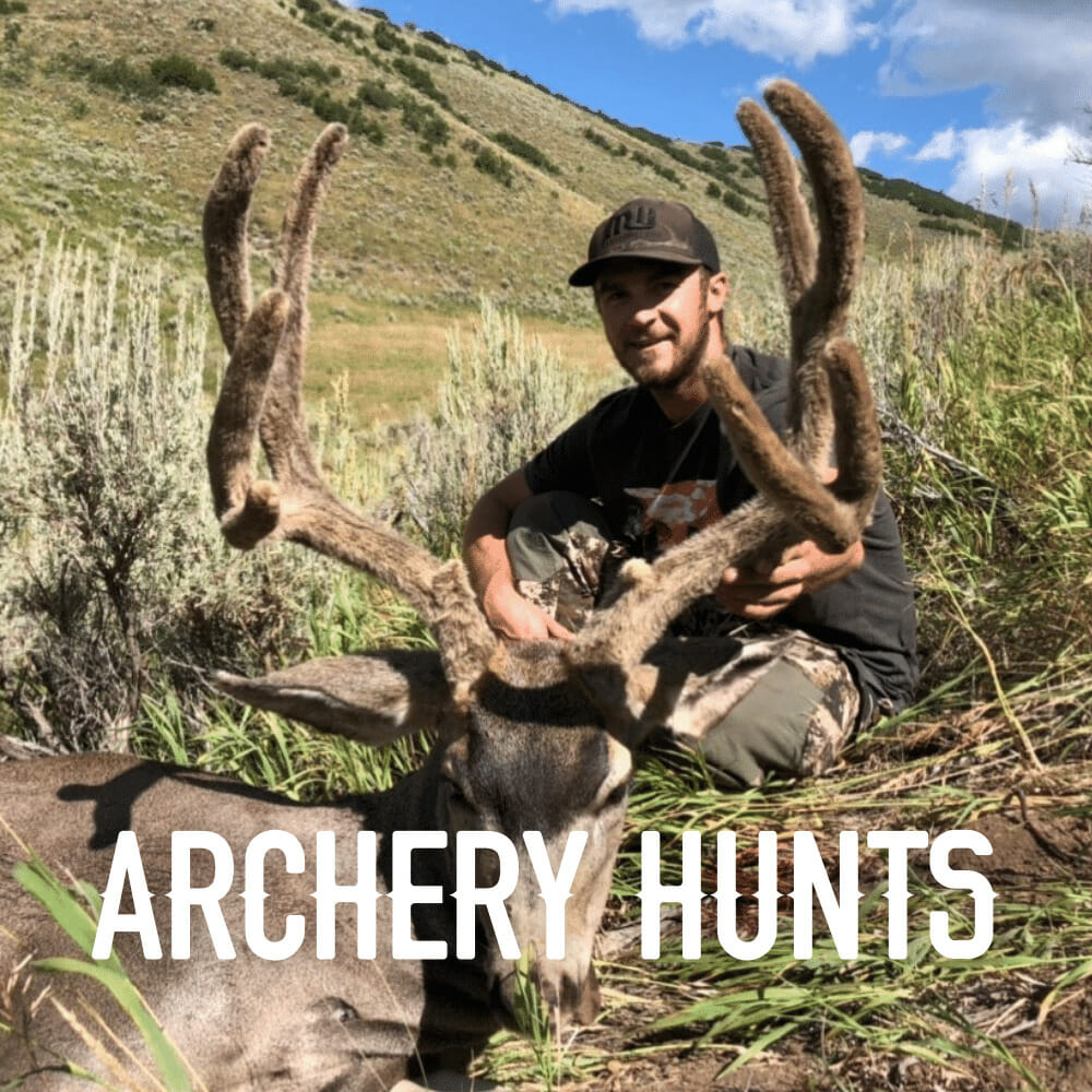 Archery Hunts in Colorado