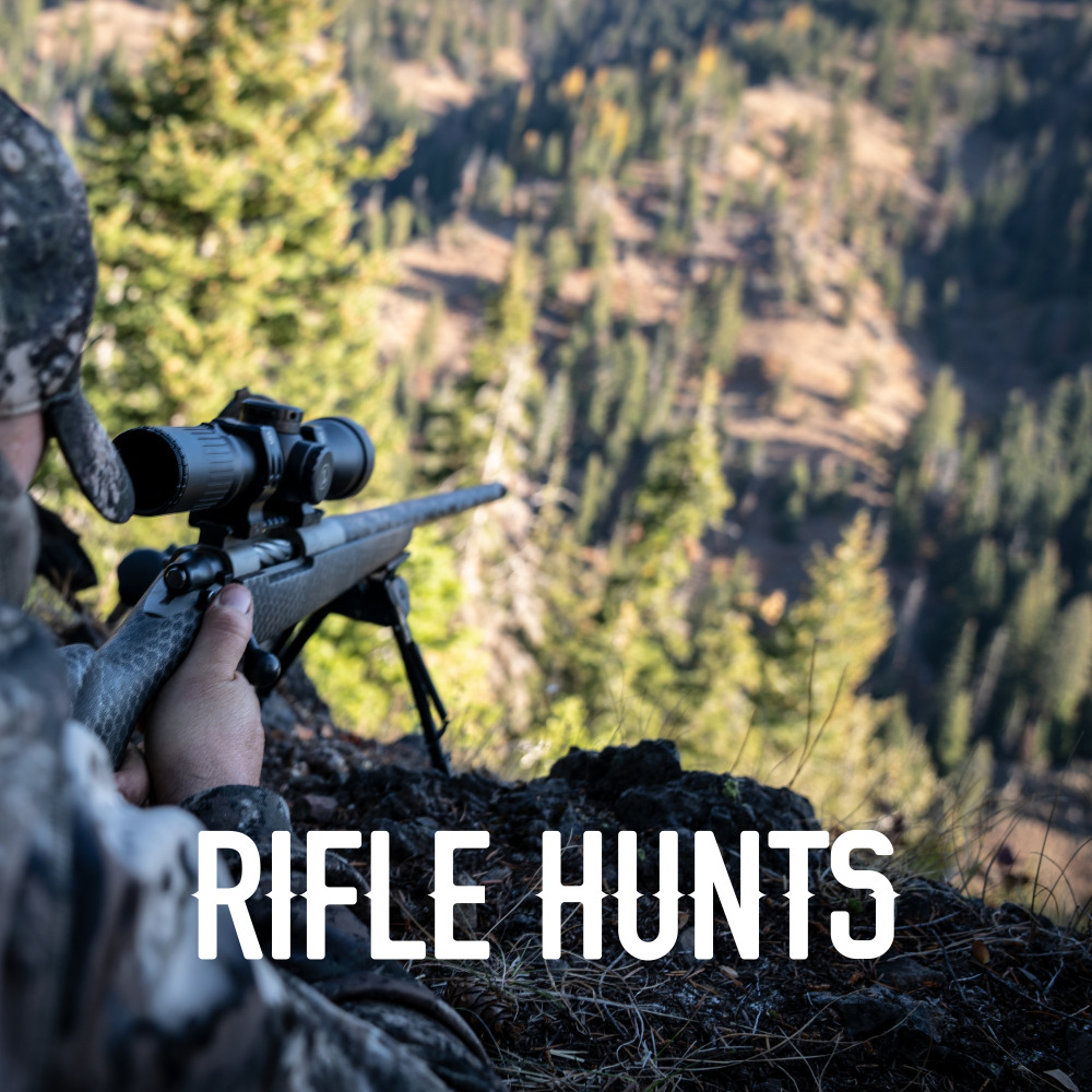 Rifle Deer Hunts in Colorado