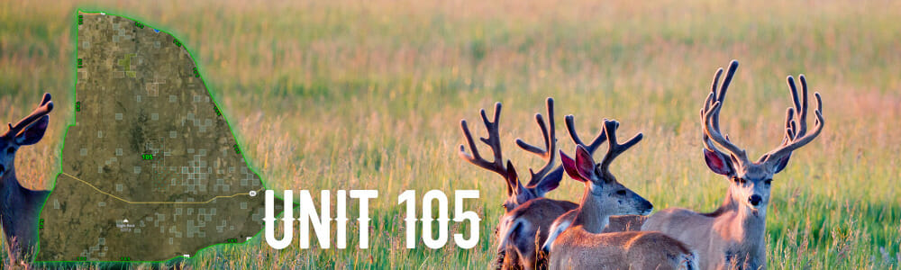 Colorado Unit 105 Hunting Guides